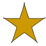 Gold Star badge awarded for attending 20 lessons in the Taekwon-Do Kids Program.
